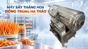 Máy sấy thăng hoa đông trùng hạ thảo