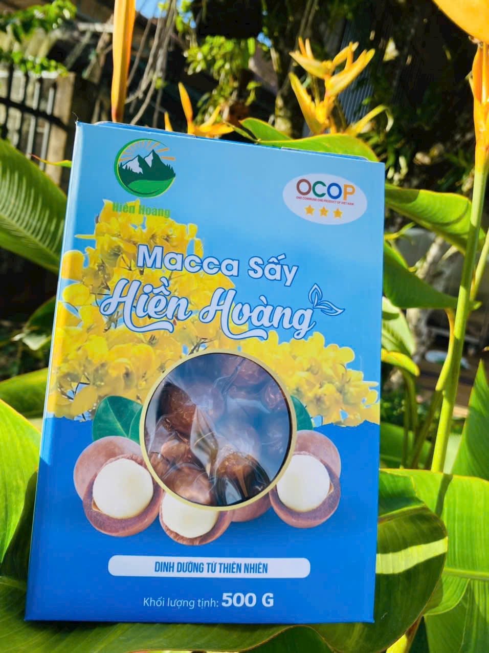 Macca sấy - Sản phẩm đạt OCOP 3 sao Macca sấy - Sản phẩm đạt OCOP 3 sao